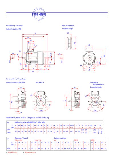 Birkenbeul 5AP80 5AP80V technology data - cover page