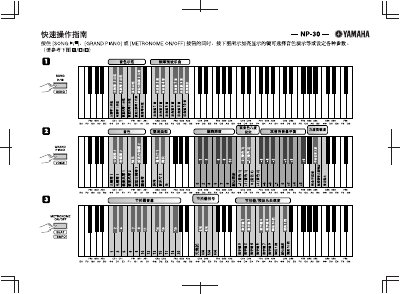 Yamaha NP-30 Digital Piano Voice Chart - cover page