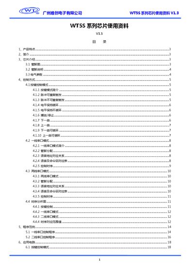 Weichuang WT5S Series Voice Chip Datasheet - cover page