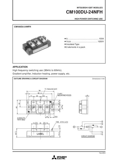 Mitsubishi CM100DU-24NFH IGBT Module Datasheet - cover page