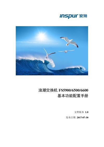 Inspur FS5900/6500/6600 Basic Function Configuration Manual - cover page