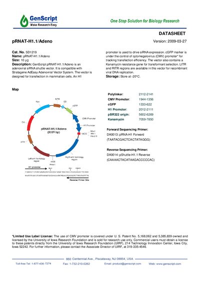 GenScript pRNAT -H1.1/Adeno Vector Datasheet - cover page