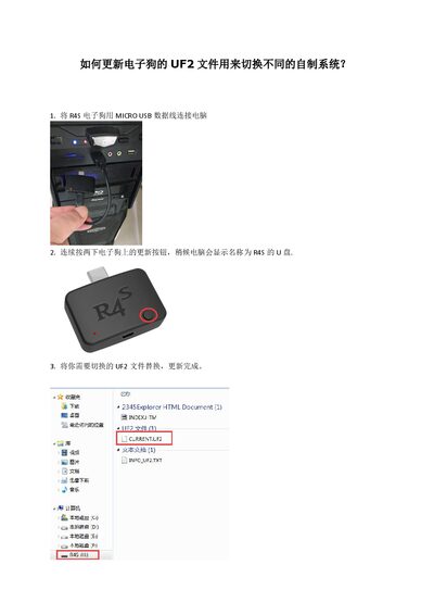R4S Electronic Dog Update Guide - cover page
