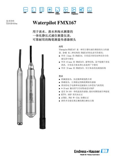 Endress+Hauser FMX167 Waterpilot Pressure Sensor Datasheet - cover page