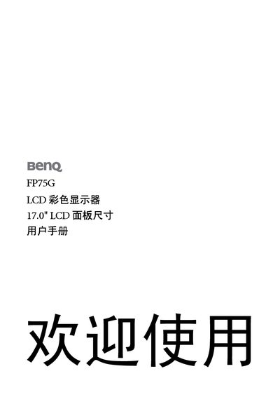 BENQ FP75G LCD color display 17.0