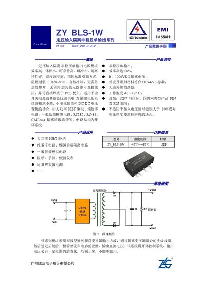ZHIYUAN ZY_BLS-1W Isolated Non‑Regulated Single‑Output Power Module Datasheet - cover page