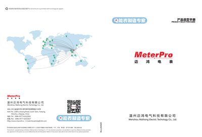 Maihong DDSF-121/DTSF-121/DDZY-121/DTZY-121/DTSD-121 Multi-rate Energy Meter Product Leaflet - cover page