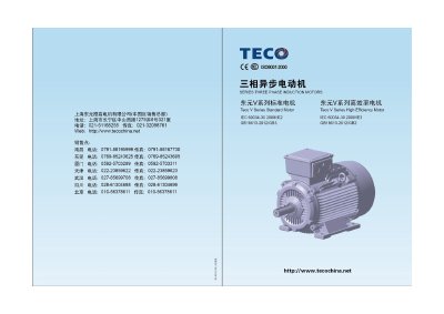 TECO V Series Three Phase Induction Motors Datasheet - cover page