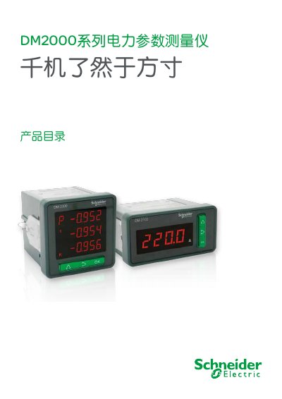 Schneider Electric DM2000 Series Power Parameter Measuring Instrument Product Catalog - cover page