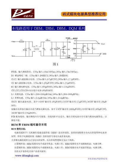Dilong DEM/DSM/DBM/DQM Series Brick Power Module Typical Application - cover page