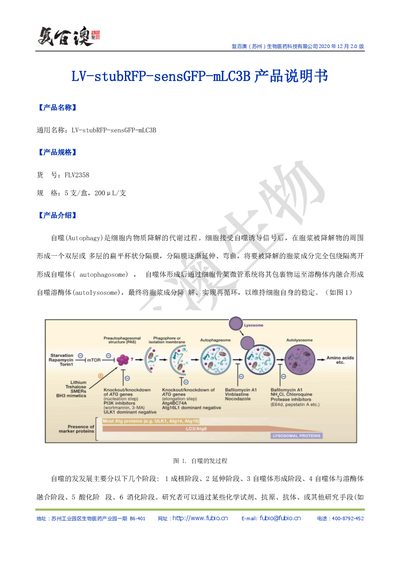Fubio LV-stubRFP-sensGFP-mLC3B Product Manual - cover page