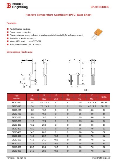 BrightKing BK30 SERIES PTC Device Data Sheet - cover page