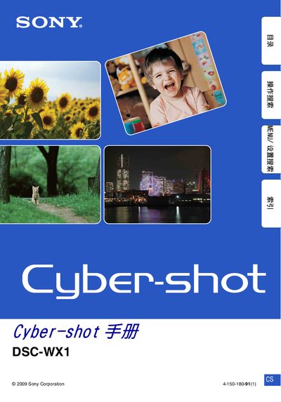 Sony DSC-WX1 User Manual