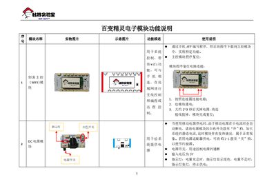 Bai Bian Jing Ling Electronic Modules Functional Description - cover page