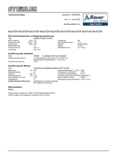 Bauer BG60-31/DR11LA4C Gear Motor Technical Data Sheet - cover page