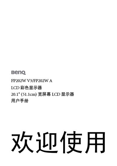 BenQ FP202W V3/FP202W A LCD color display 20.1
