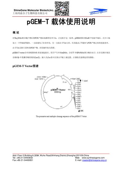 ShineGene pGEM‑T Vector User Manual