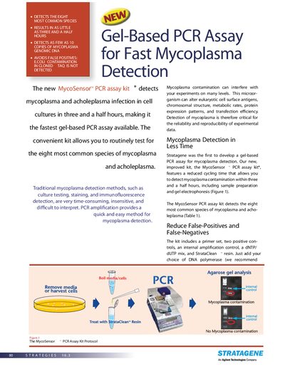 Stratagene MycoSensor PCR Assay Kit Product Catalog - cover page