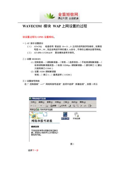 Wavecom WAP Network Setup User Manual