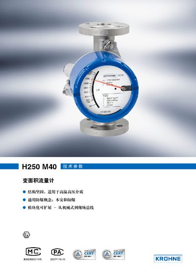 KROHNE H250 M40 Metal Tube Float Flowmeter Manual - cover page