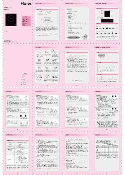 Haier CSZ101 Induction Cooker User Manual - cover page