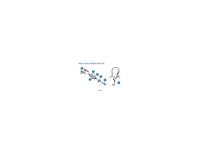 Nokia WH-700 Stereo Headset Manual - cover page