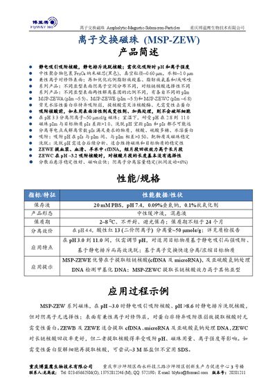 Chongqing Boliangying Ampholytic-Magnetic-Submicron-Particles Ion Exchange Magnetic Beads Product Data Sheet - cover page
