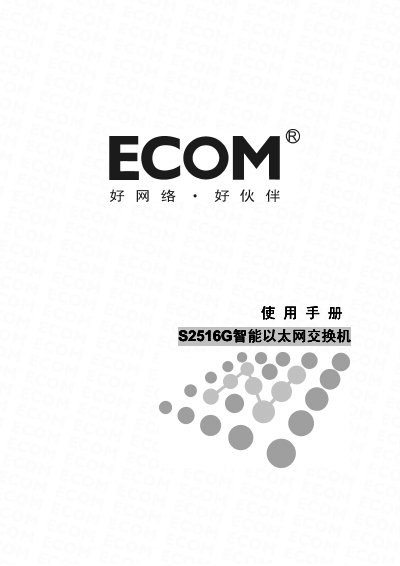 Longwei Technology S2516G Network Switch User Manual - cover page