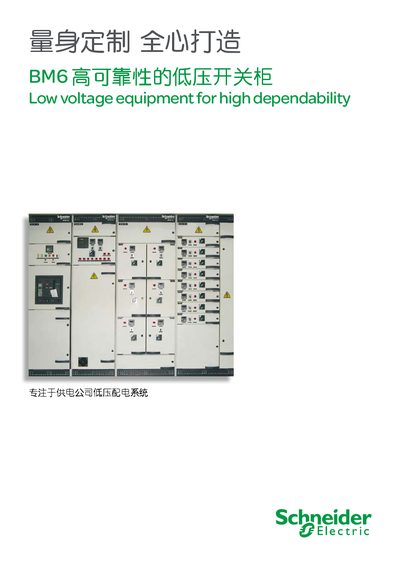 Schneider Electric BM6 Low Voltage Switchgear Cabinet Manual - cover page