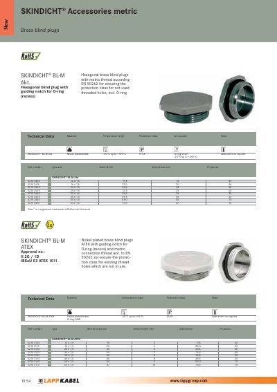 SKINDICHT BL-M 6kt Brass Blind Plugs Product Leaflet - cover page