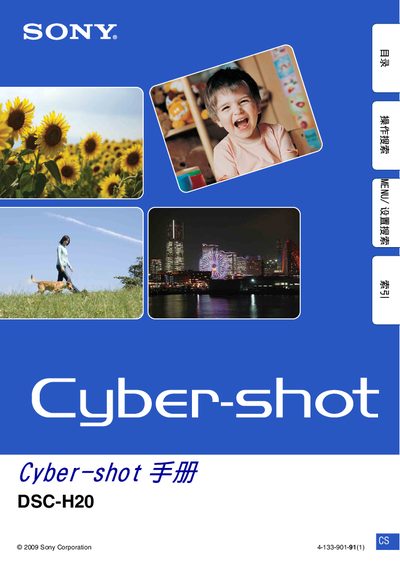 Sony DSC-H20 User Manual