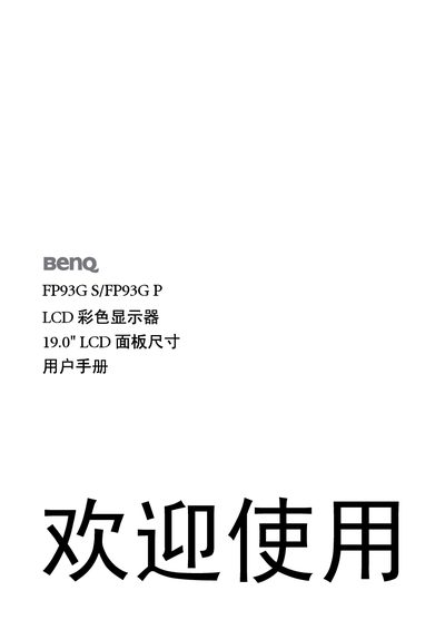 BenQ FP93G S/FP93G P LCD color display 19.0