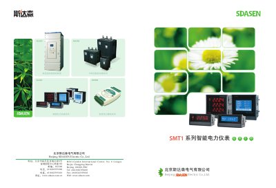 SDASEN SMT1 Series Smart Power Meter Selection Manual - cover page