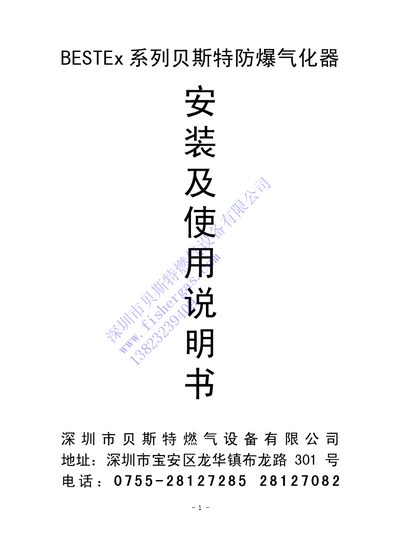 Best BESTEx Series Explosion-Proof Gasifier Installation Guide - cover page