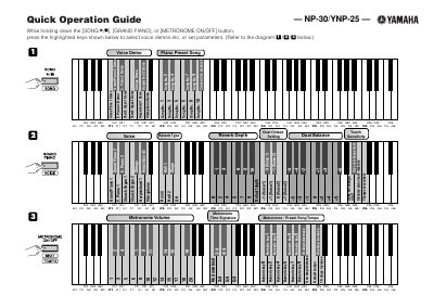 YAMAHA NP-30/YNP-11 Manual - cover page