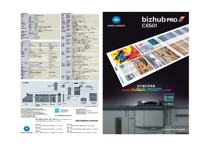 Bizhub PRO C6501 Printer Manual - cover page