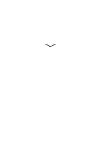 Vertu Ascent User Manual - cover page