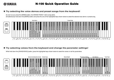 Yamaha N-100 Quick Operation Guide - cover page