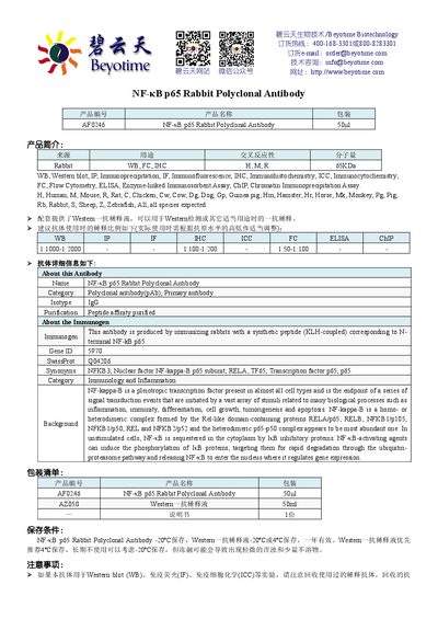 Beyotime AF0246 NF-kappa-B p65 Rabbit Polyclonal Antibody Product Information Sheet - cover page