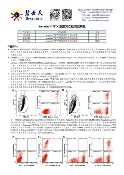 Beyotime C1062 Annexin V-FITC Apoptosis Detection Kit Product Information - cover page