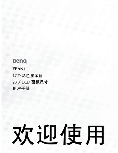BenQ FP2091 LCD color display 20.0