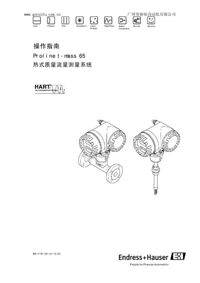 Endress+Hauser t-mass 65 User Manual