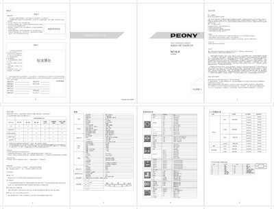 PEONY MJ19LR LCD Monitor User Manual