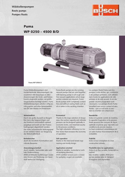 Busch WP 0250-4500 Roots Pumps Technical Data Sheet - cover page