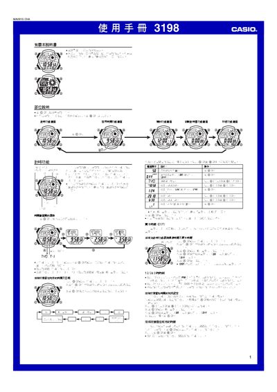 Casio 3198 User Manual - cover page