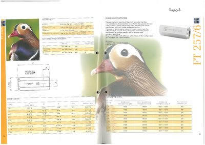 Tognella FT 257/6 Check Valve Technical Data Sheet - cover page