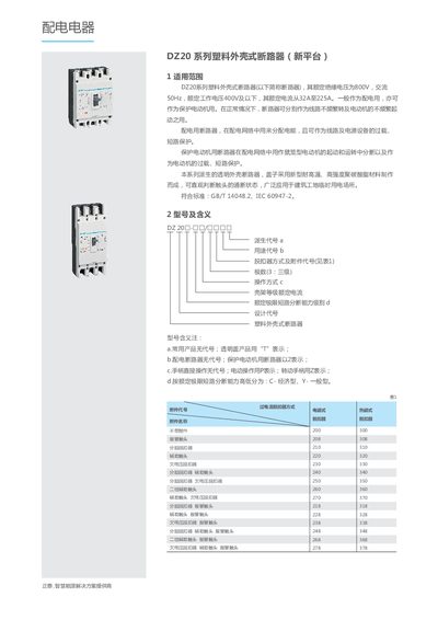 Chint DZ20 and DZ15 Series Circuit Breaker Product Leaflet - cover page