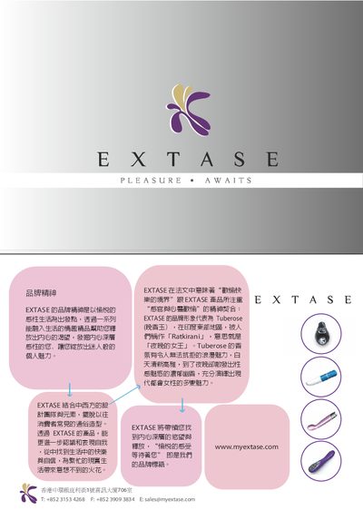 EXTASE Massager Product Leaflet