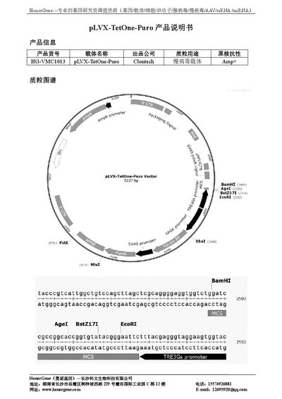 HonorGene pLVX-TetOne-Puro Lentivector Product Information Sheet