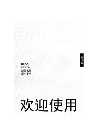 BenQ DV2050 Projector User Manual